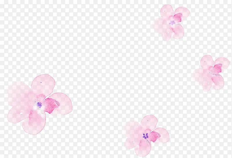 手绘花卉插画设计
