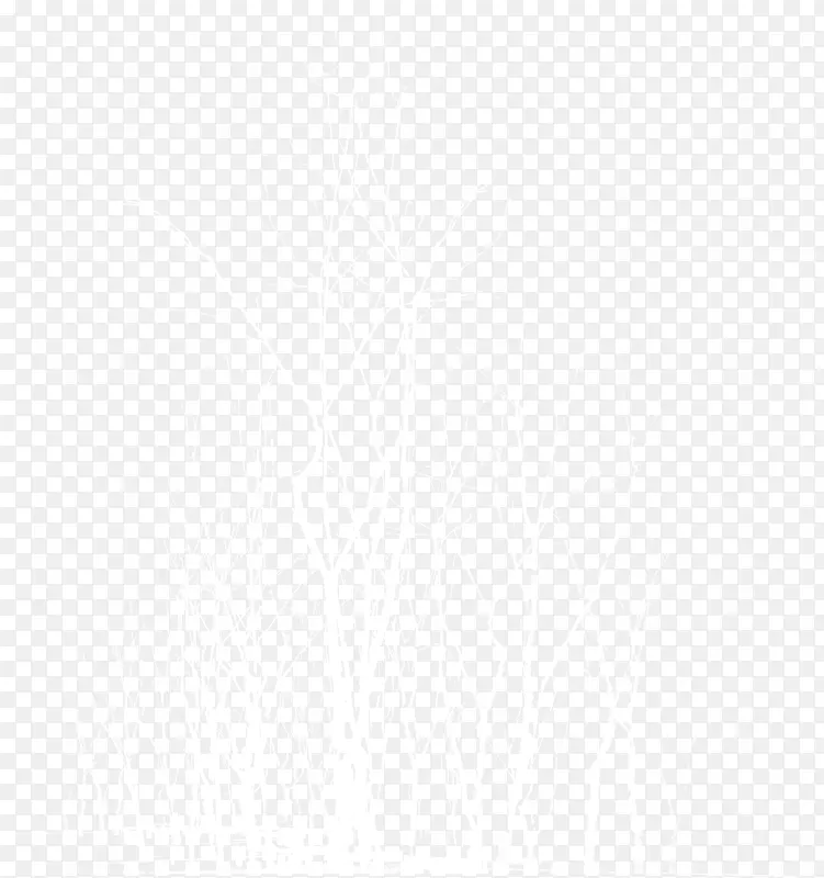 白色梦幻艺术树枝