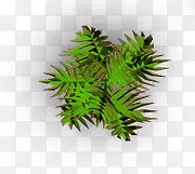室内绿植装饰户型