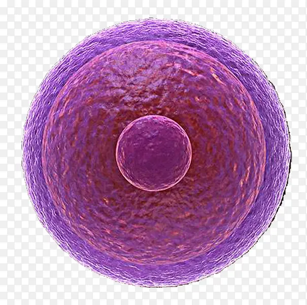 紫色生物医学细胞图示