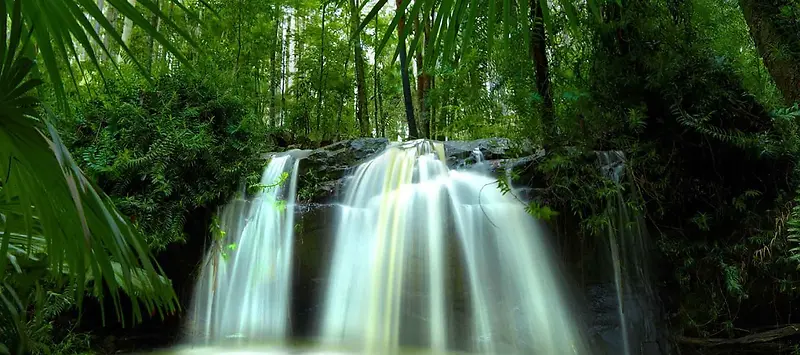 夏季绿色背景