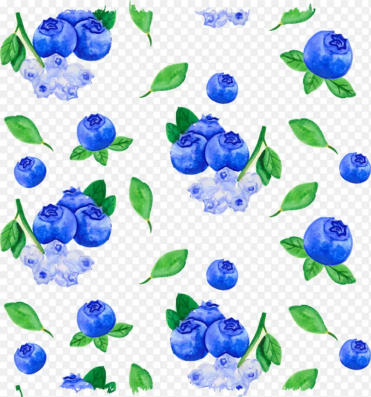 矢量手绘蓝莓