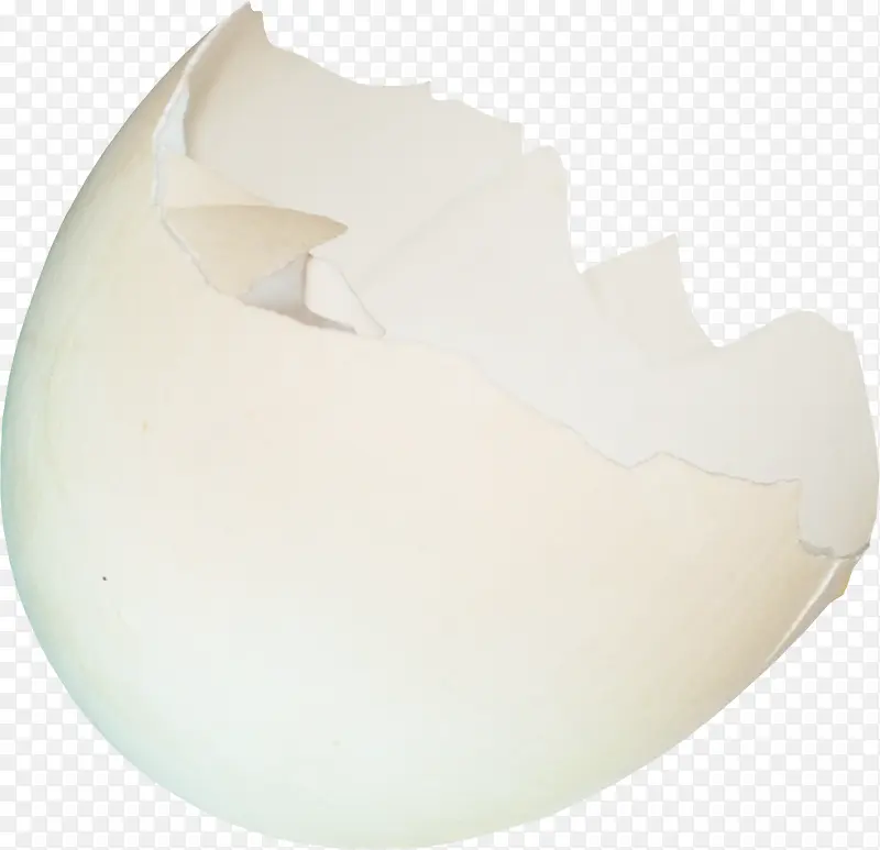 白色壳蛋壳素材