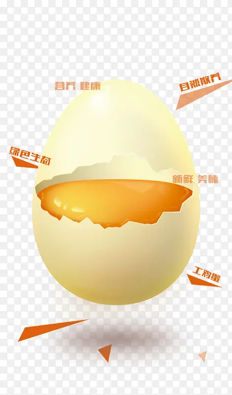 黄色蛋壳蛋黄营养
