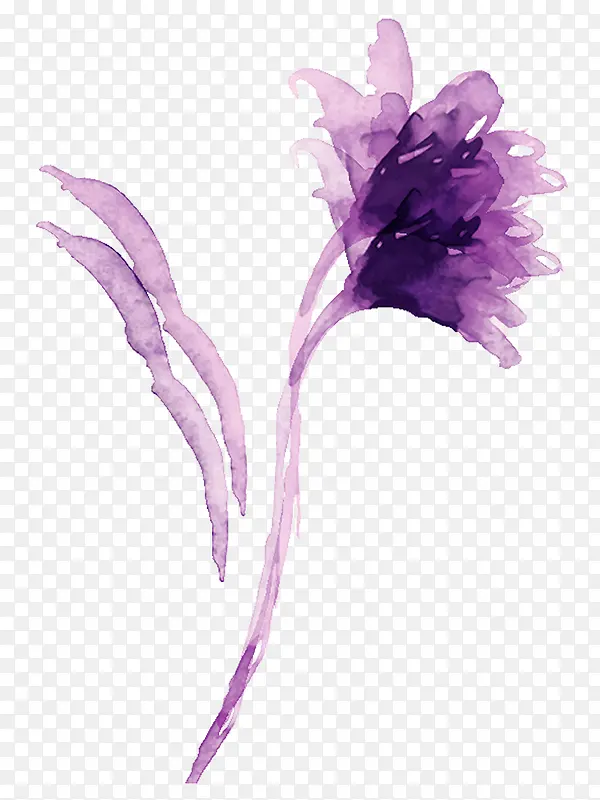 紫色水彩画康乃馨