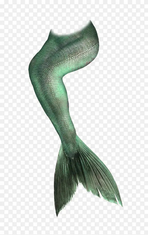 绿色鱼人尾巴装饰图案