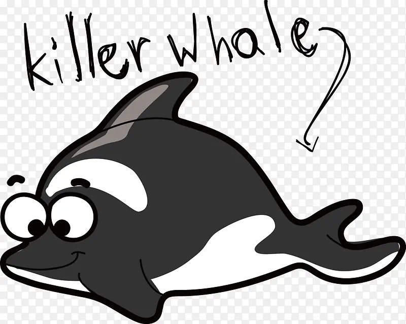 卡通虎鲸手绘素材矢量图片