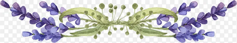 薰衣草