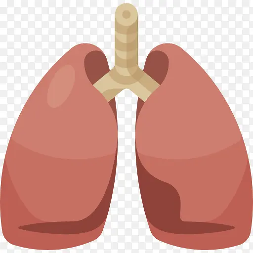 手绘人体肺