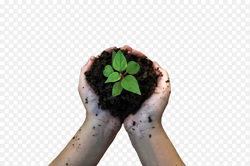 手里捧着一根草