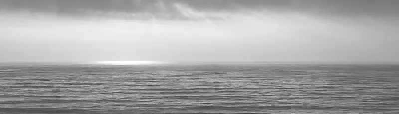 黑白海绵高清背景素材图片