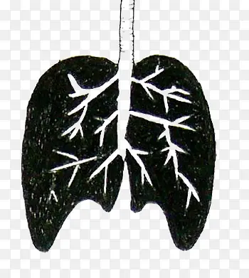 卡通的肺