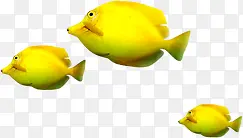 黄色三条鱼夏季遨游