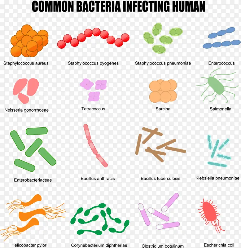 彩色微生物