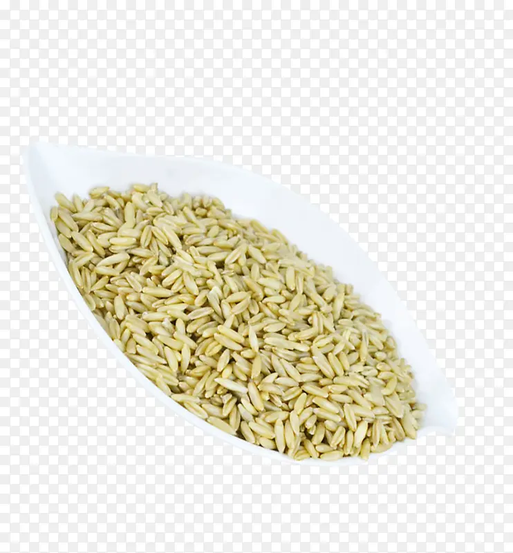内蒙古燕麦米免抠素材