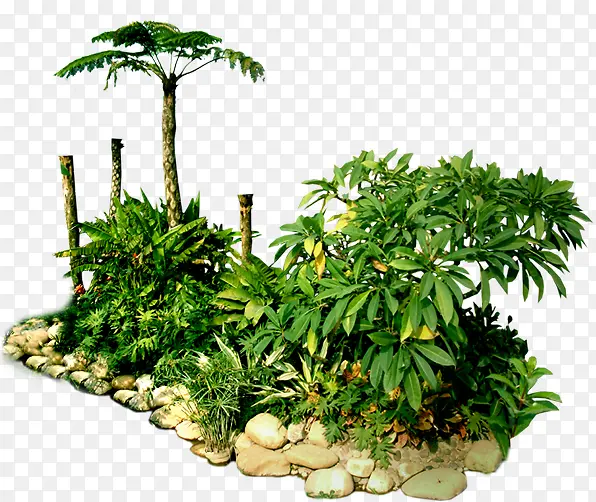 绿色景观植物装饰