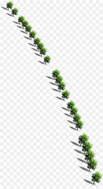 绿化树效果图图片