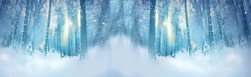冬季雪树林背景banner