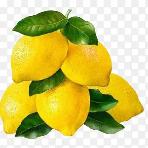 一串柠檬装饰