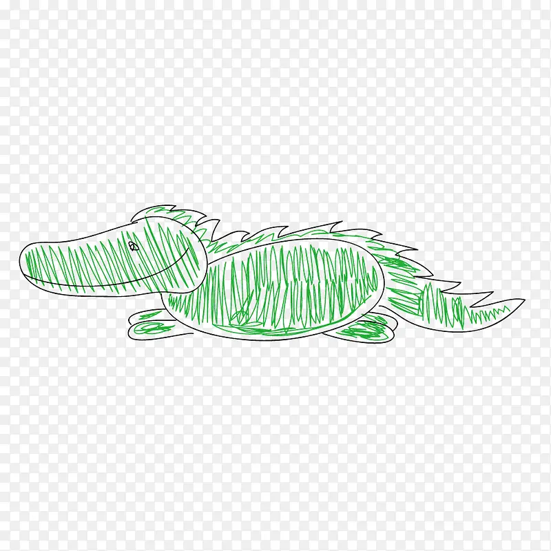 矢量手绘勾画绿色鳄鱼