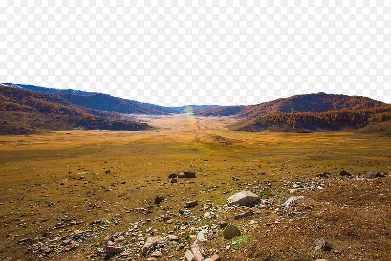 新疆的风景