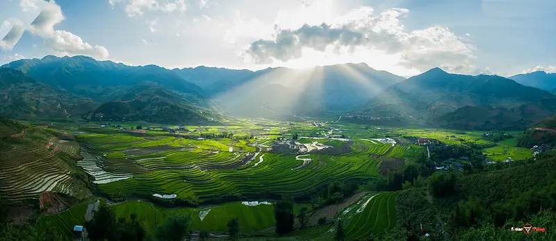 自然风景绿色田地