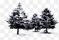 冬季雪树海报背景