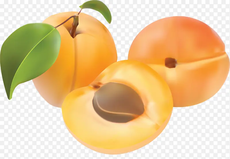 水果黄杏