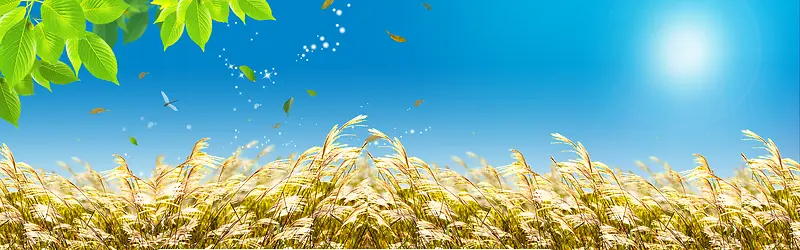 创意时尚背景