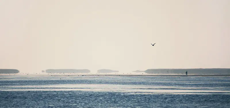 风景系列背景