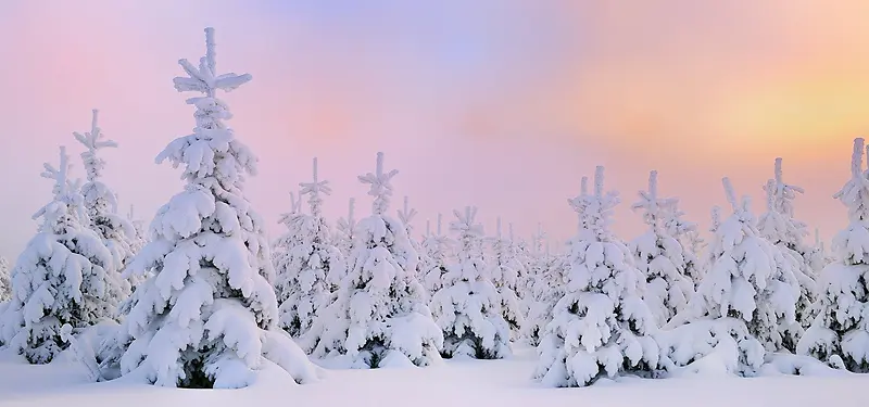 自然风景