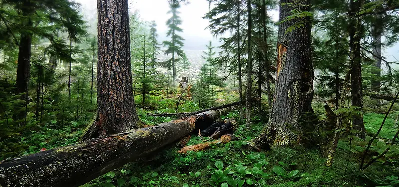 自然风景