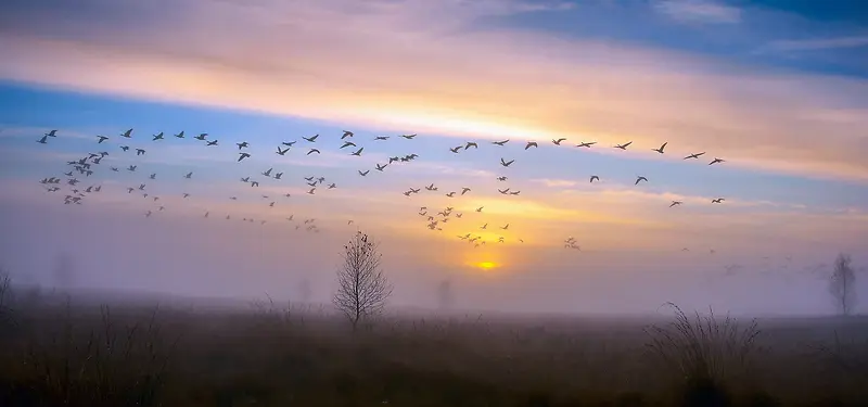 自然风景