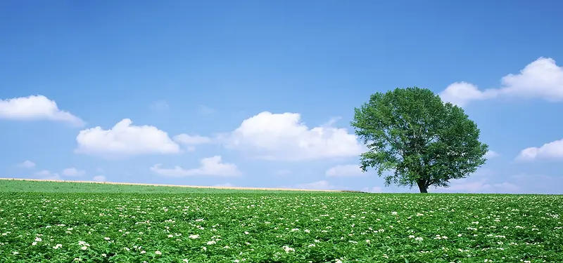 自然风景