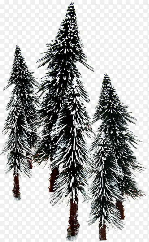 冬季树木喜迎圣诞