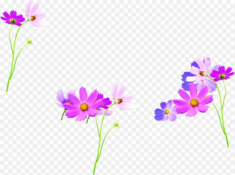 植物卡通夏日花朵