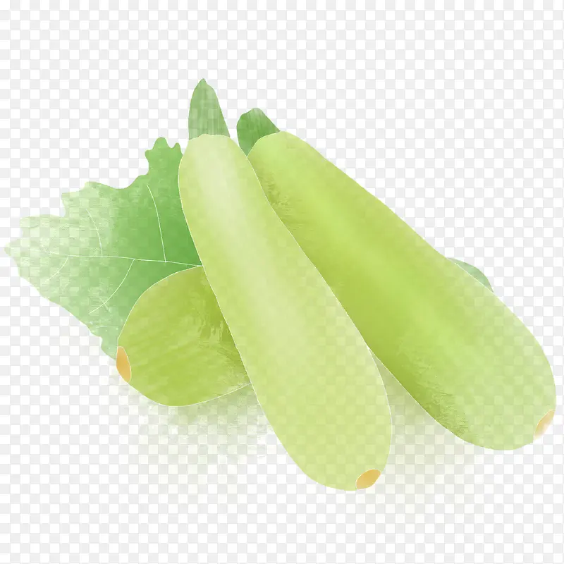 西葫芦北瓜绿色蔬菜