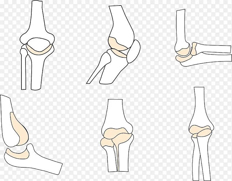 手绘各种关节图标