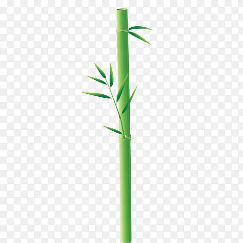 竹，杆，绿色，笔直
