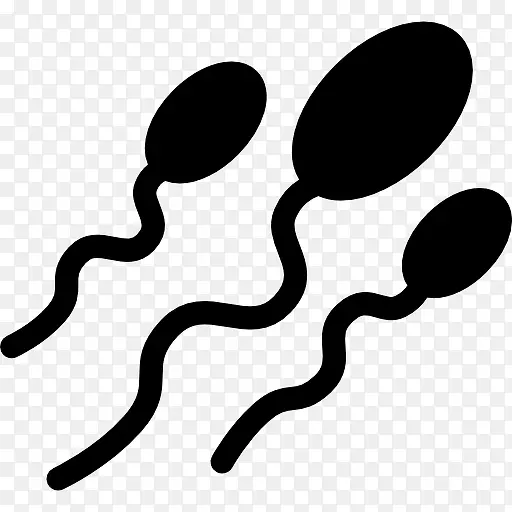 三精子图标