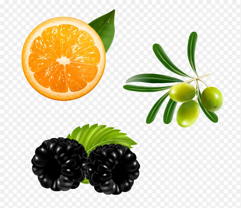 脐橙黑莓和橄榄