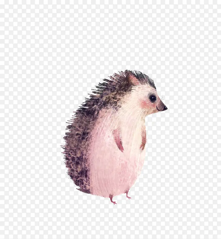 刺猬
