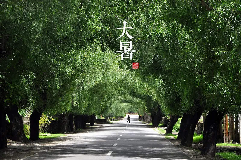 大暑节气宽屏背景