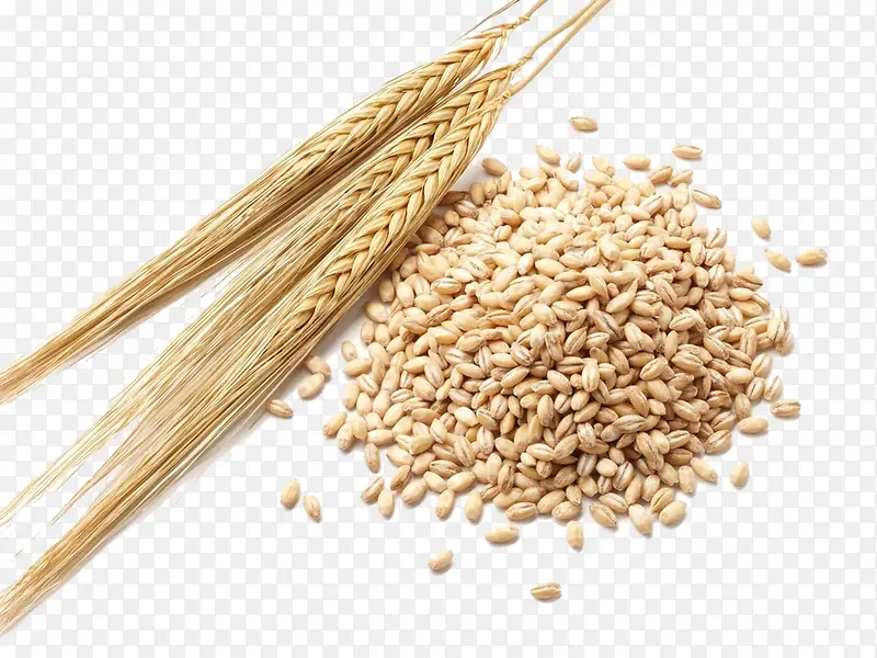 三颗真实的小麦