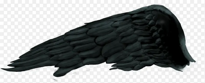 黑色翅膀图片