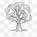 手绘树木图标