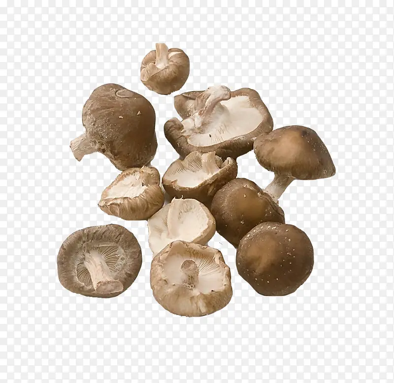 一堆好吃的蘑菇