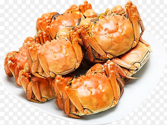 海鲜螃蟹食物高清