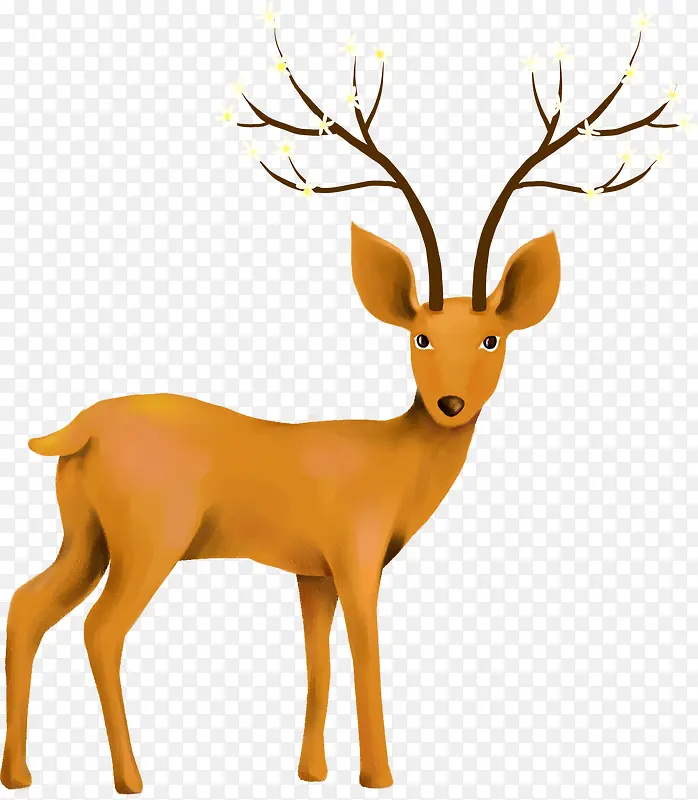 冬季麋鹿设计素材