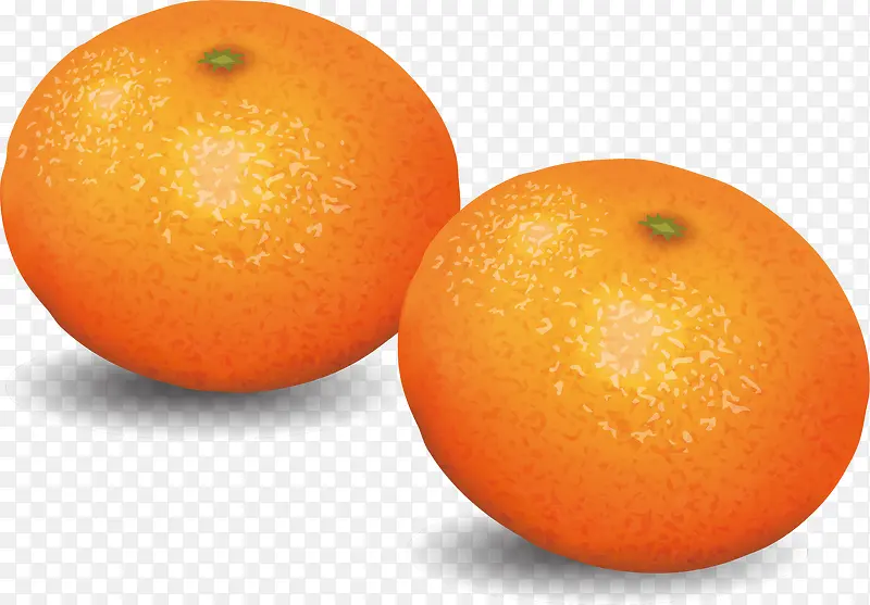 矢量手绘橘子